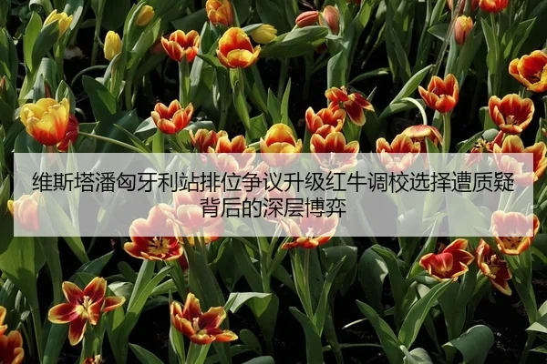 维斯塔潘匈牙利站排位争议升级红牛调校选择遭质疑背后的深层博弈